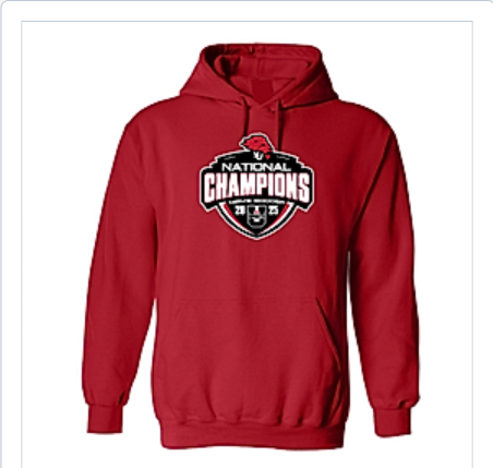 COLLECTION DES CHAMPIONS COLLECTION